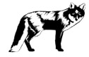 04026574-8149-126x81.png