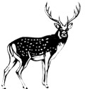 0402657c-304f-120x126.png