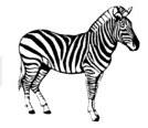 0402657o-e327-134x116.png