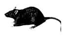 04026580-d362-138x74.png