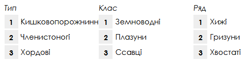 040265i5-9198-495x122.png