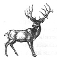 040265ty-b6e4-118x119.png