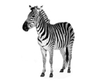 0402660d-62ea-139x115.png