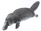 0402668t-248a-139x105.png