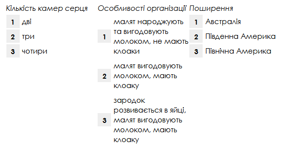 040266ag-29d7-574x299.png