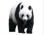 040266zc-3dcc-142x115.png