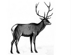 040266zk-8b75-143x112.png