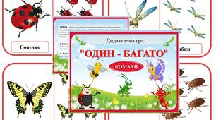 Дидактична гра "Один - багато" КОМАХИ