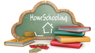 Homeschooling. Wider world1. 5th grade.