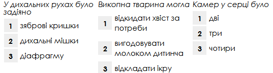 040267x4-2ed7-537x145.png