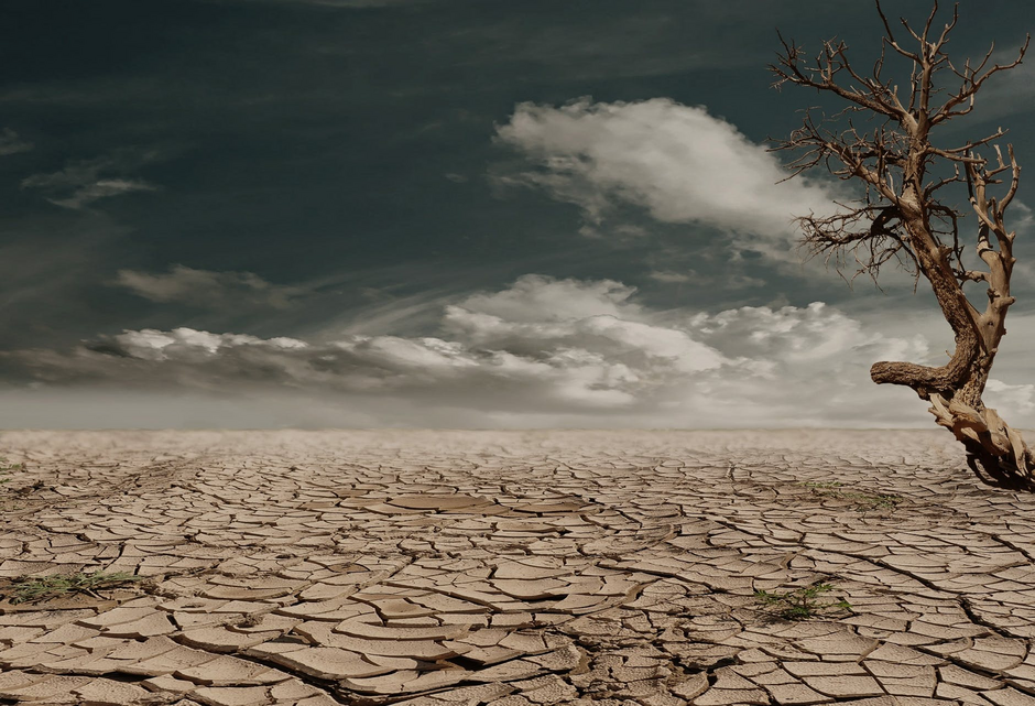 0402683a-0929-940x641.png
