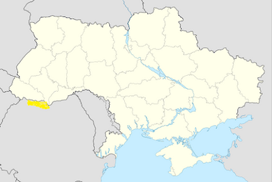 040268wf-8921-390x262.png