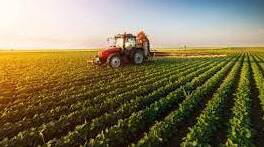 Презентація "Виробництво сільськогосподарської продукції, паливних мінеральних ресурсів, чорних та кольорових металів"