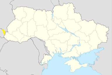 040269e8-865a-383x257.png