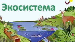 Презентація "Екосистема як центральний об’єкт вивчення екології".
