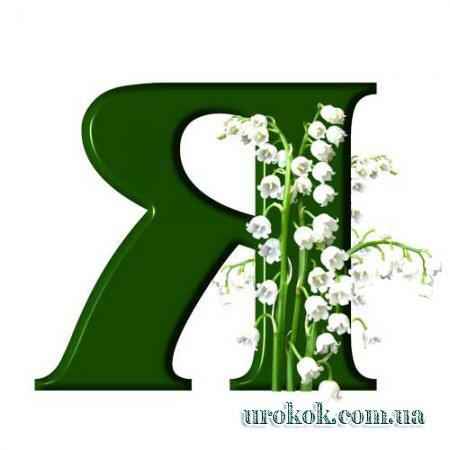 04026bbe-b739-450x450.jpg