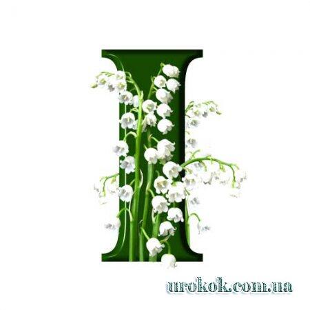 04026bbf-7e7d-450x450.jpg