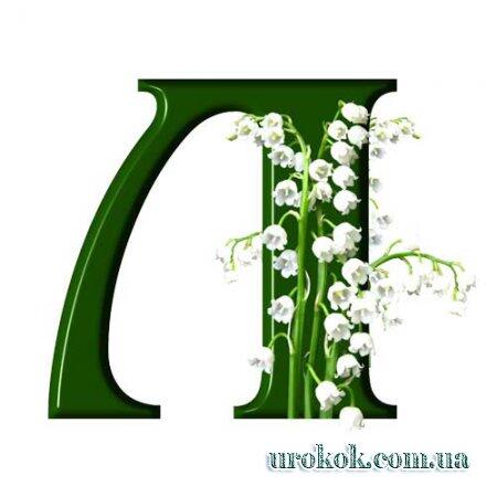 04026bbh-233a-450x450.jpg