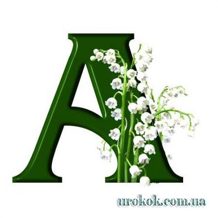 04026bbk-134b-450x450.jpg