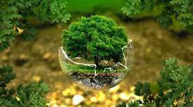Nature and the environment