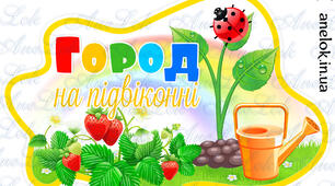 Проєкт " Город на підвіконні"