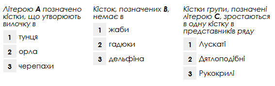 04026cvw-3495-567x177.png
