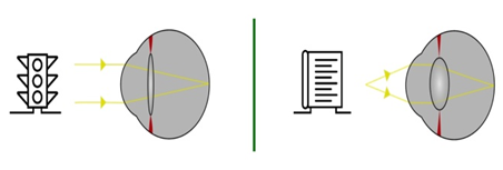 04026dyn-c3ea-452x153.png