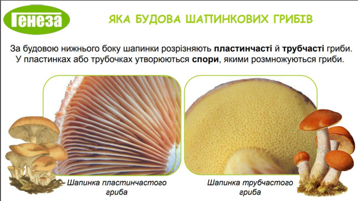 04026epy-a664-724x407.png