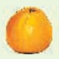 04026h94-21f3-122x122.png