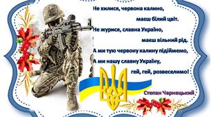 Доброволець — правди син і волі.