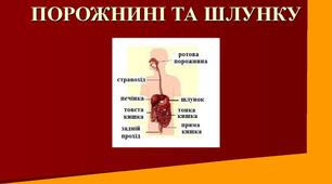  Травлення в ротовій порожнині та шлунку