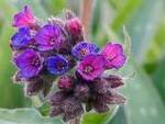 04026jrz-55ae-150x113.jpg