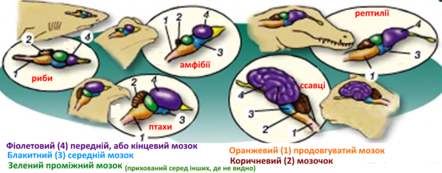 04026juj-fb6c-624x245.png