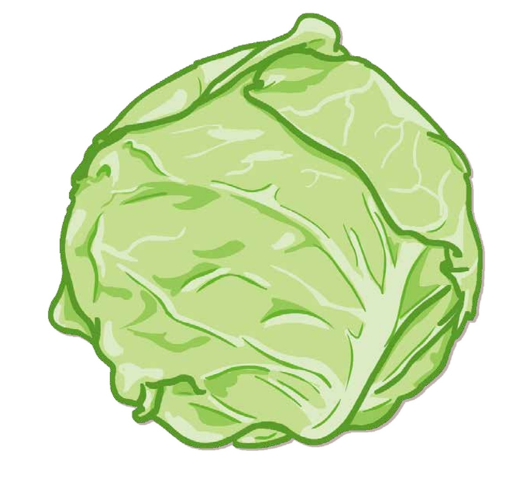 04026llx-9620-519x478.png