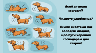 Криголам "Який ти песик?"