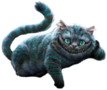 04026n1c-449c-156x131.png