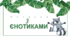 Презентація з читання "Читання з єнотиками"