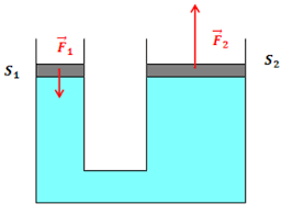 04026sxc-4062-256x196.png