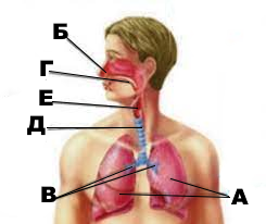 04026tir-3ffc-245x206.png