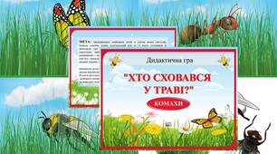 Дидактична гра "Хто сховався у травичці?" КОМАХИ