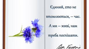 Набір для прикрашання дошки до Дня народження Ліни Костенко