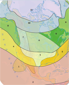 04026xjn-2a12-231x284.png