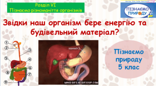 Презентація "Звідки наш організм бере енергію та будівельний матеріал". "Пізнаємо природу" 5 клас НУШ.