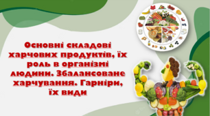 Основні складові харчових продуктів, їх роль в організмі людини. Збалансоване харчування. Гарніри, їх види. Презентація