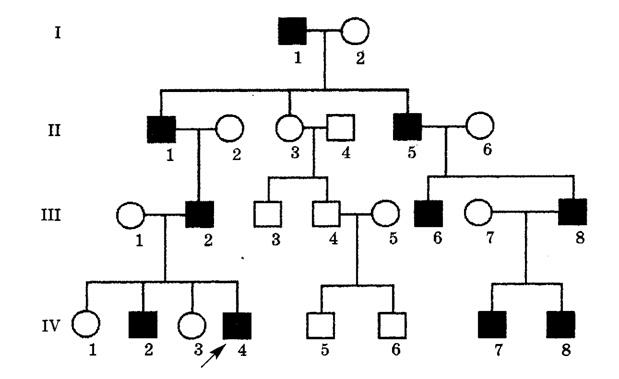 040270sc-47dc-619x379.png
