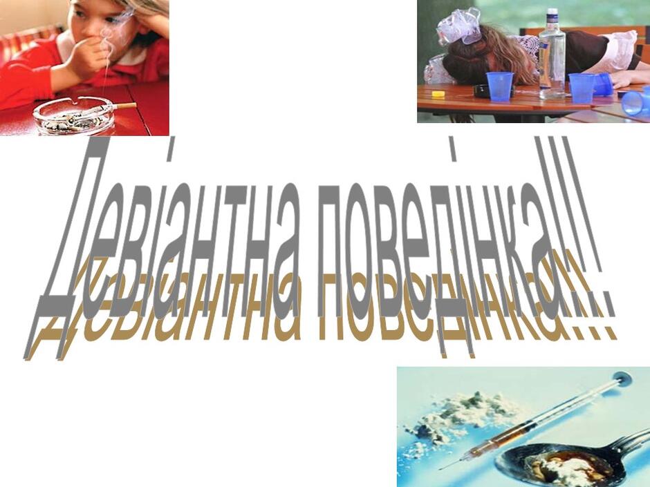04027323-488a-940x705.jpg
