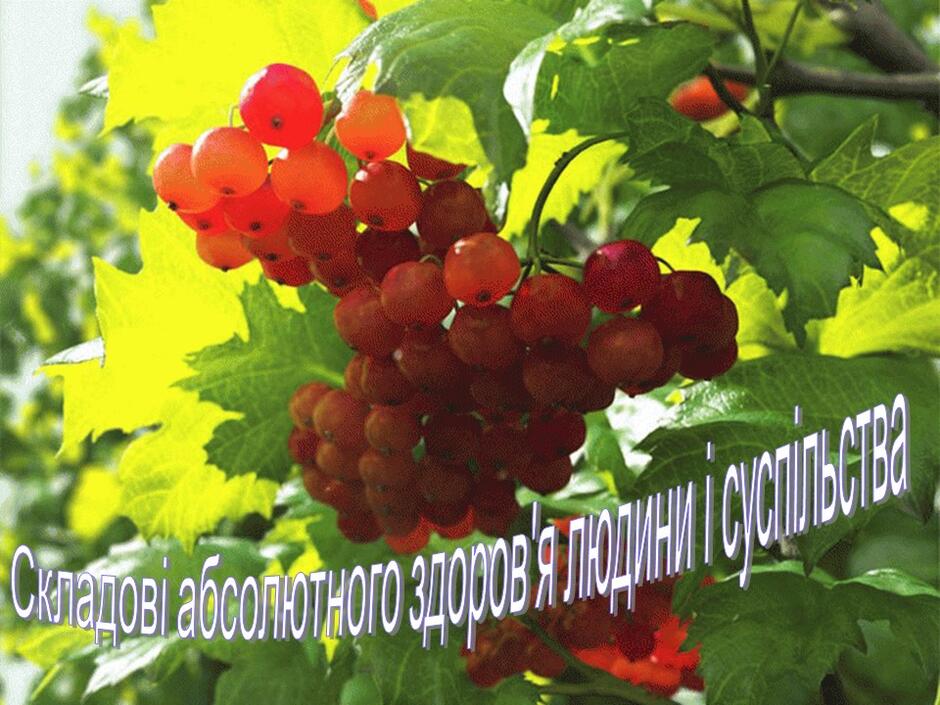 04027335-92e9-940x705.jpg