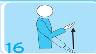 040276lw-3eb3-311x176.png