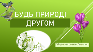 Презентація  "Будь природі другом"
