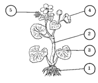 040279sc-4019-197x167.png